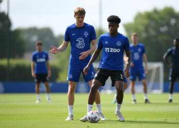 Chelsea targets Everton's Iliman Ndiaye in proposed swap for Liam Delap