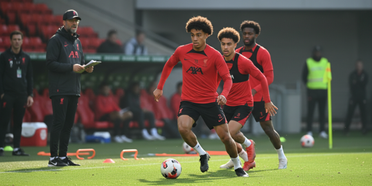 Liverpool reignites pursuit of Bradley Barcola ahead of summer transfer window