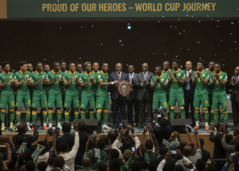 Bafana Bafana commended by government despite 2-0 World Cup defeat