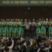 Bafana Bafana commended by government despite 2-0 World Cup defeat