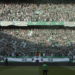 Real Betis records 55,474 season ticket renewals ahead of Champions League return
