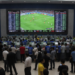 China World Cup viewership fuels sports lottery surge to 83.3 billion yuan